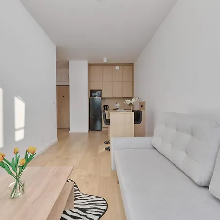 Tasteful With Free Garage And Balcony By Renters *