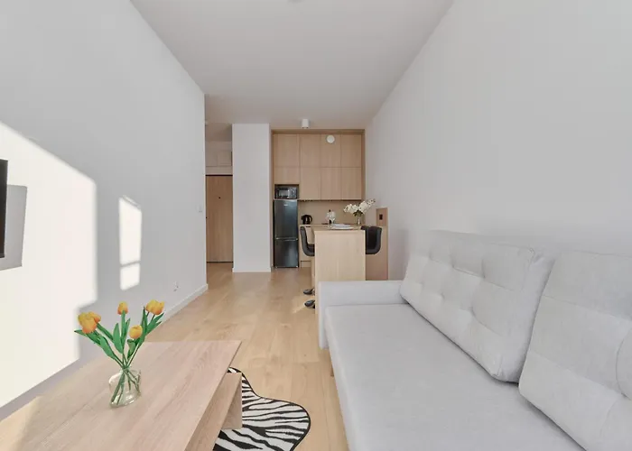 Tasteful With Free Garage And Balcony By Renters *